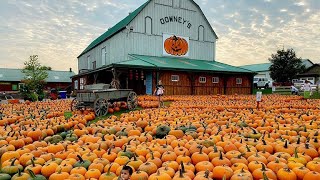 Downey’s Farm, Caledon. #vacation #pumpkin #easter #halloween #fun 