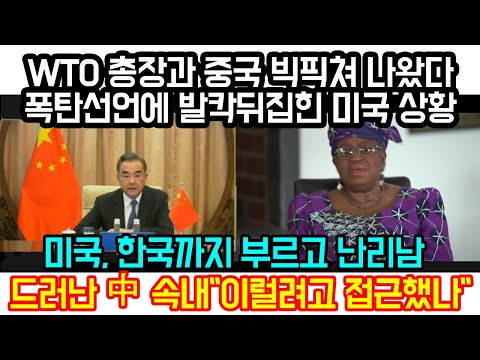 <strong>WTO</strong> 총장과 중국 빅픽쳐 나왔다 폭탄선언에 발칵뒤집힌 미국 상황, 드디어 밝혀진 속내 &amp;quot;이럴려고 <strong>WTO</strong> 접근했나&amp;quot;