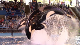 Orca Encounter (Full Show) - SeaWorld San Antonio - July 27, 2022