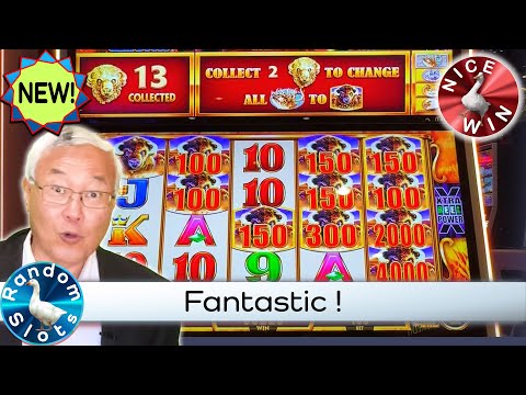 Buffalo Gold Cash Collection Slot Machine Big Win Bonus