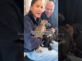 Senator Cory Booker and Alexis Booker Visit an Animal Shelter for a Little Therapy | The Dodo