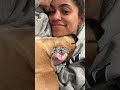 Senator Cory Booker and Alexis Booker Visit an Animal Shelter for a Little Therapy | The Dodo
