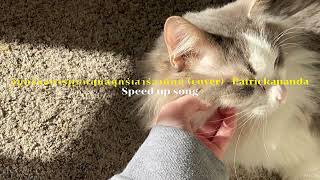 จันทร์อังคารพุธพฤหัสศุกร์เสาร์อาทิตย์ (cover) - Patrickananda (speed up song)