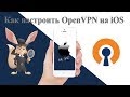 Как настроить OpenVPN на iOS