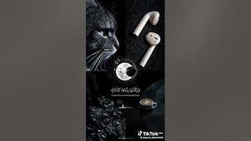 سورة النبأ كاملة ( القارئ الشيخ عبد الرحمن مسعد ) تلاوة خاشعة تريح القلب