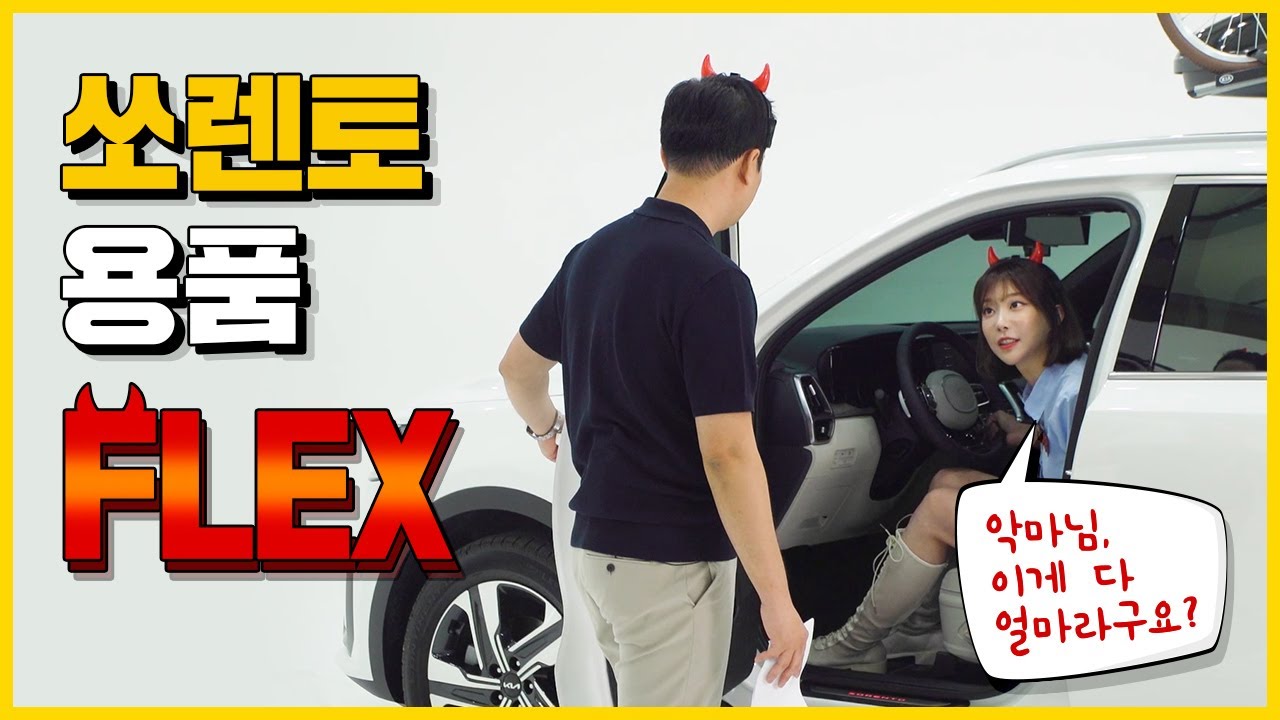 🚨쏘렌토 차주 시청 금지🚨 악마와 