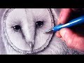 How to Draw a Barn Owl