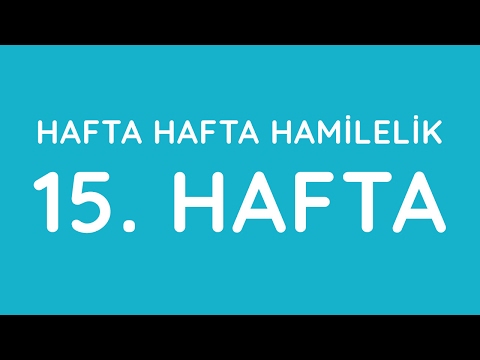 Video: 15 Həftəlik Hamiləlik: Hisslər, Fetal Inkişaf