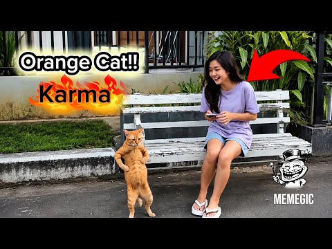 Funny Videos That Will Make You Laugh, So Random | Memes | Mood Boost | chapter #4