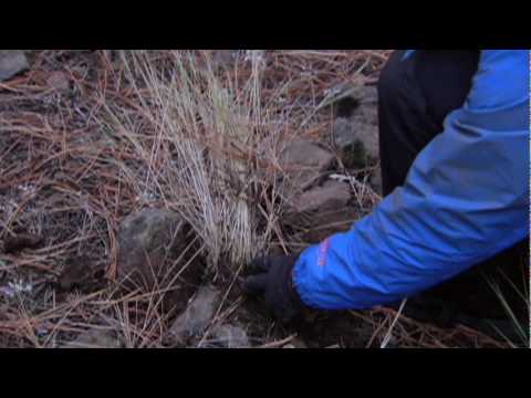 humans of ny Born Survivor: How to Track Hikers