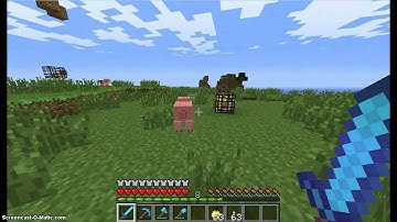 Minecraft Pig spawner secrets!