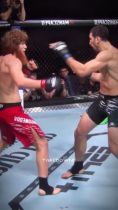 A fantastic knockout by Shara Bullet! #mma