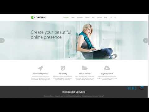 Converio - Responsive Multi-Purpose WordPress Theme      Daichi Mario