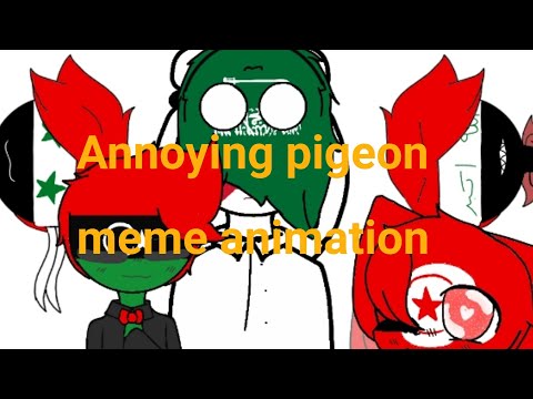 Annoying pigeon meme animation arab countries