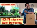 How to Crystal Clean Water in Aquarium, Water Experiments, Clean Aquarium Water | Step by Step Guide