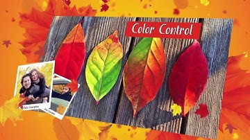 After Effects project - Autumn Festival Promo