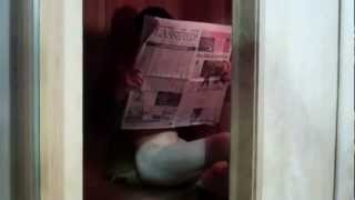 Celebrity TUF 15 Chase Hackett - Meet Prison Stare Profile