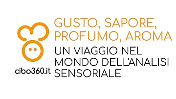 Che differenza c'è tra gusto e sapore?