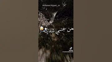 قلعت تشرتي علي أيدي لفيتو 