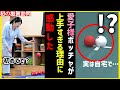 【愛子さま初の滋賀】ボッチャ初体験でここまで上手な理由に納得せざるを得ない