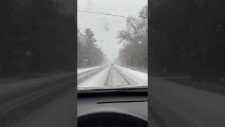BIG FLAKES in Newaygo, MI | December 1, 2023