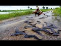 Amazing Fishing! A Fisherman Catch Fish A Lot On The Road in Rainy Season Catch by hand