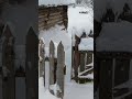 21 января 2024 г.Зима в деревне)🥰❄️❄️❄️🌲⛄️