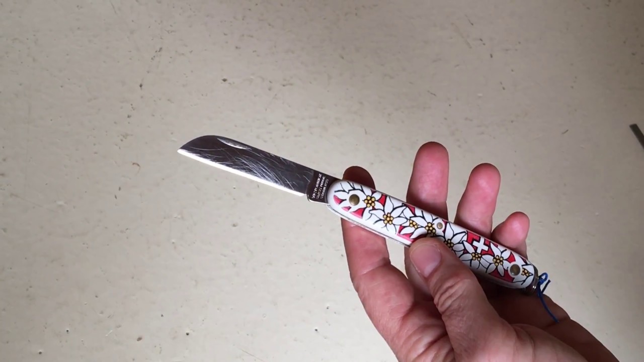 How to treat the florist knife