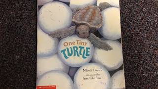 One Tiny Turtle