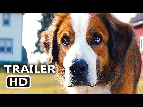 Vídeo: ASSISTIR: Trailer Do Filme De Cannes Sobre A Amizade Eterna De Uma Garota Com Um Cachorro Em Circunstâncias Extremas