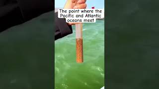 The point where the Pacific and Atlantic oceans meet 😯 #pacific #nature #atlantic #world #shorts