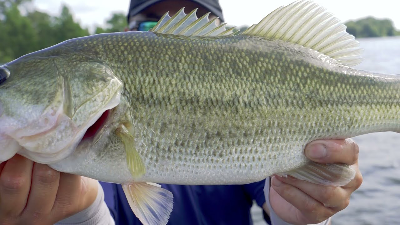 NEW Soft Steel Instinct Spoolable Fluorocarbon is Fire