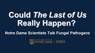 Could 'The Last of Us' Really Happen? Notre Dame Scientists Talk Fungal Pathogens