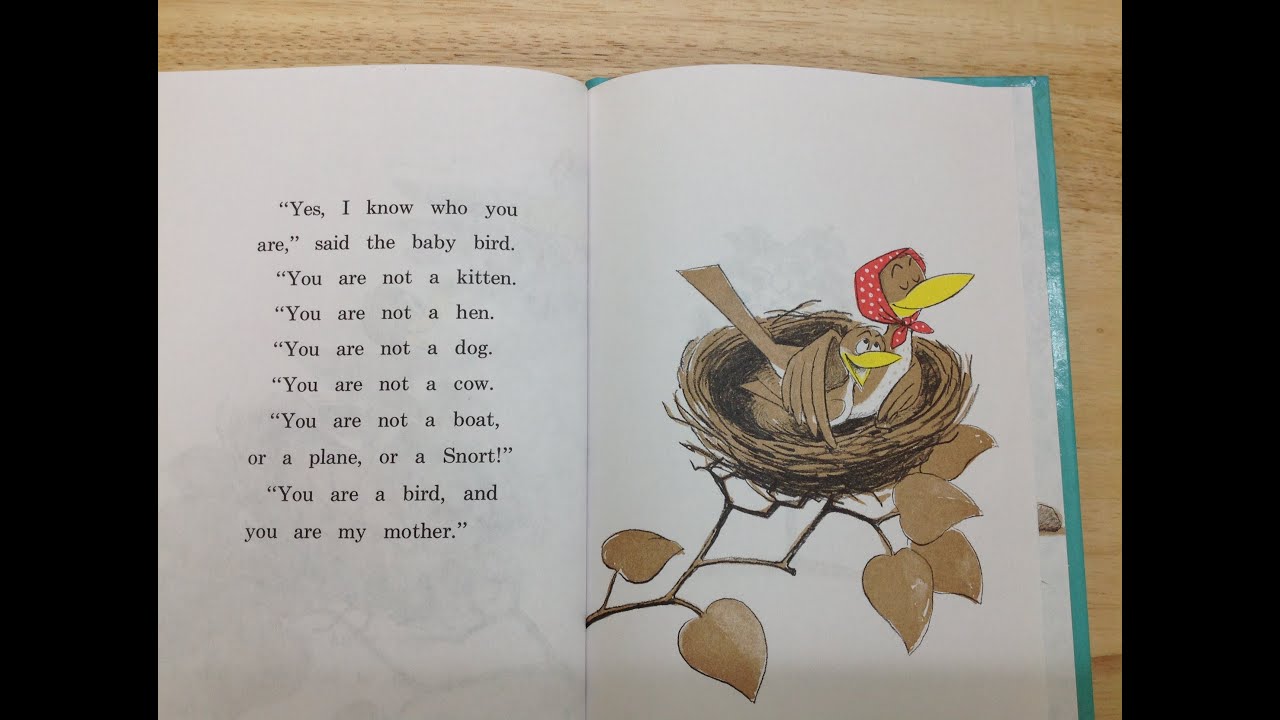 Are You My Mother? by P.D. Eastman Read Aloud - YouTube