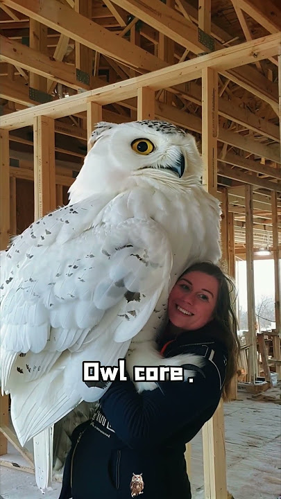 Owl core🥰#owl #owlhouse #owls #owlsoftiktok #owllove #funny #cute #fyp #love#foryou#foryoupage