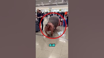 Nếu bạn gặp người đàn ông này, CHẠY NGAY😱