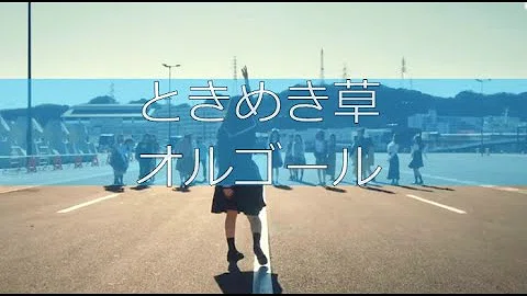 تحميل 日向坂46 ときめき草 Offvocal تحميل 日向坂46 ときめき草 Offvocal