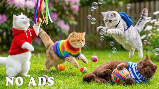 12 Hours Cat Tv for Cats To Watch 😺 Calming Cat Music for Reduce Anxiety 🐾 Deep Sleep Healing Music screenshot 5