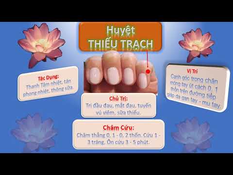 Video Ngũ Du Huyệt KINH THỦ THÁI DƯƠNG TIỂU TRƯỜNG - youtube