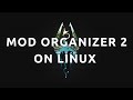 How to install and use mod organiser 2 on linux  complete guide