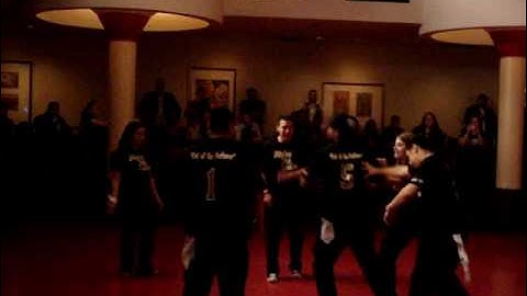 Alpha Psi Lambda, Lambda Chapter Stroll 2009 LA REFORMA