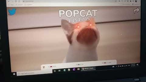 POPCAT 1 million clicks