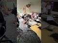 Studio in Shambles! #canadianvlogger#artandcraft#fabriccollage#slowstitching