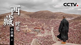 《西藏时光》第二集 小活佛 | CCTV纪录