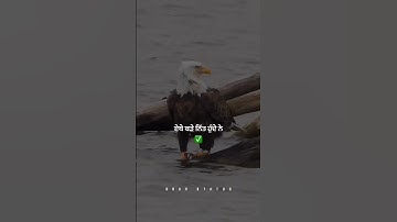 built different (lyrics video)  sidhu moosa wala #justiceforsidhumoosewala