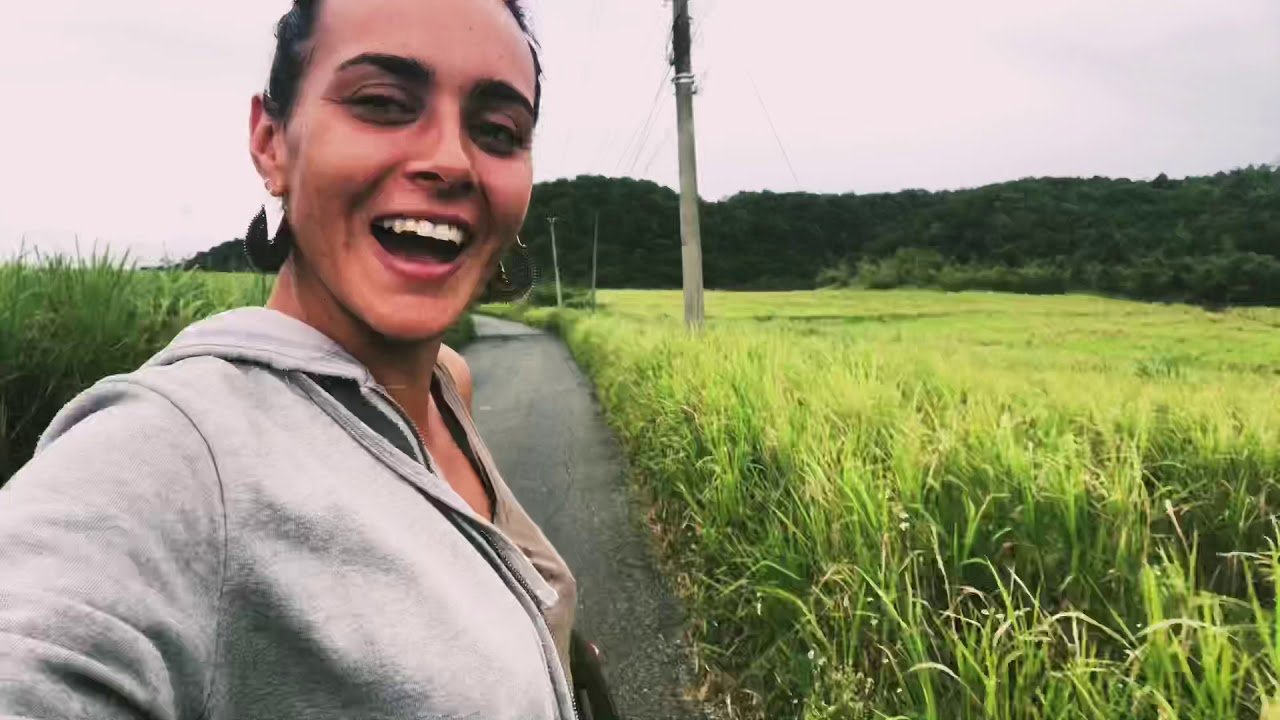 who owns jamaica Official ️