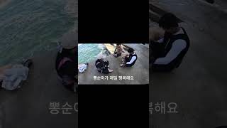 파도 소리에 겁먹은 강아지와 함께한 동해 바다의 특별한 순간! #몽실이 #강아지 #retreiver #뽀끄미 #puppy #goldenretreiver #골든리트리버 #반려견