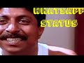 sreenivasan mohanlal comedy whatsapp status