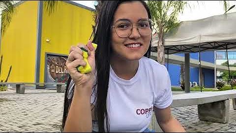 Modelagem física e numérica de injeção de scCO2 em arenito para fins de EOR/CCS