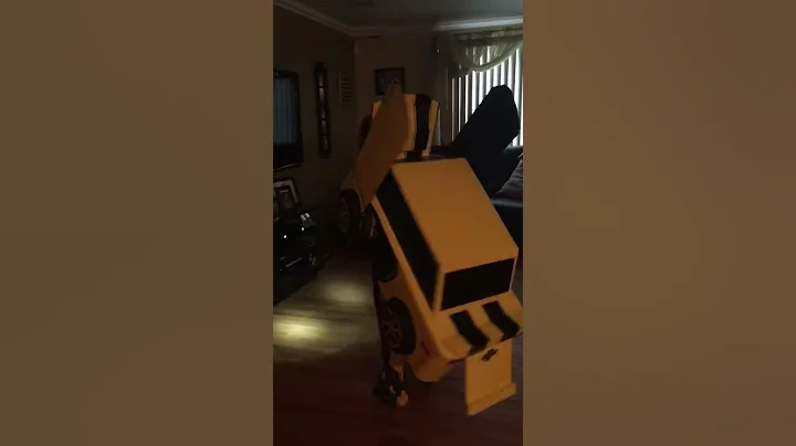 Elvia Cruz Video